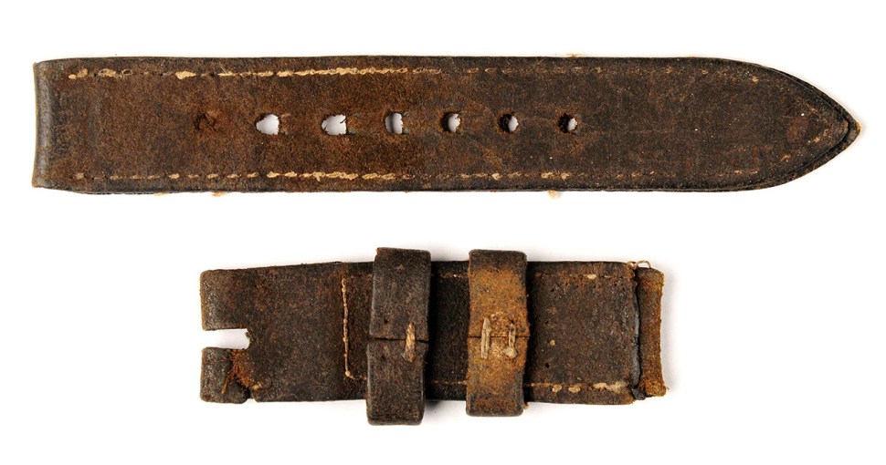 180109-panerai-3646-1010292-original-strap-back