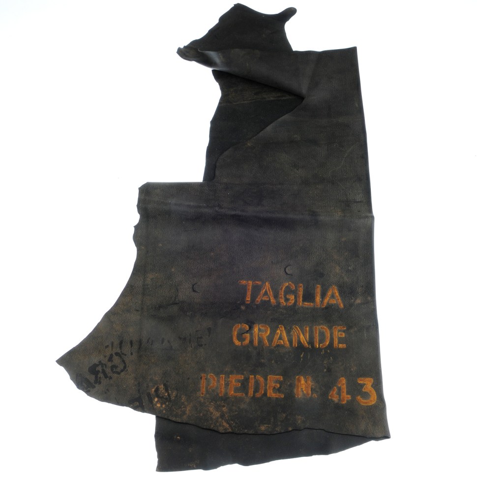 180609-panerai-3646-1010292-section-italian-wetsuit-front