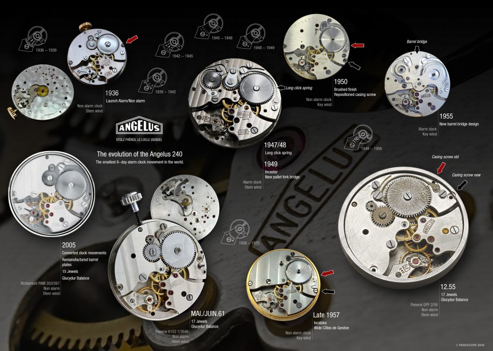 180808-evolution-angelus-240